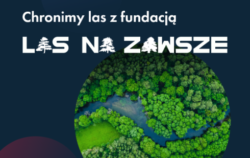 Wraz z fundacją Las na Zawsze wsparliśmy zakup lasu